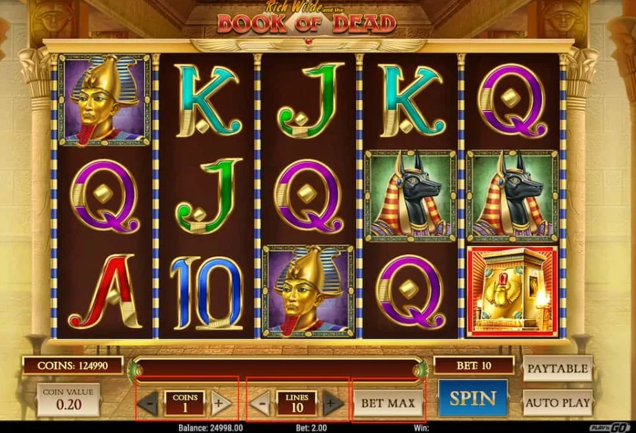 book of dead slot